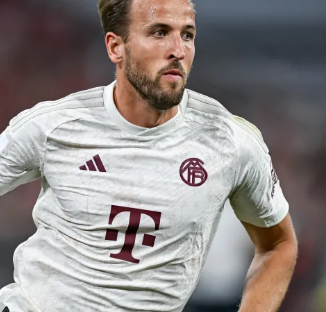 分少数股权 分少数股权